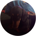 Courtney Rolston Courtney Rolston